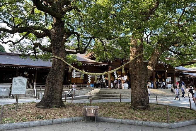 Tokyo Morning Tour: Asakusa, Meiji Shrine and Tsukiji Fish Market - Practical Information: Meeting Point, Transportation, and Accessibility