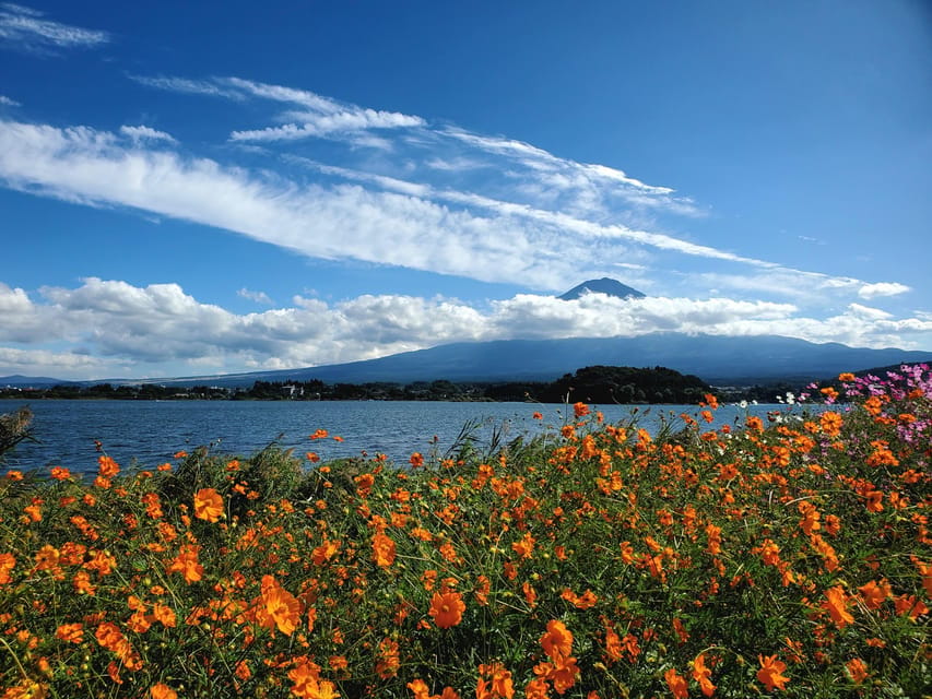 Tokyo, Mount Fuji and Hakone 3 Days Tour - Important Information