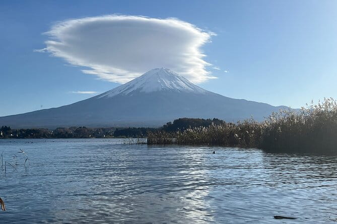 Tokyo Mount Fuji and Hakone Private Tour - Inclusions