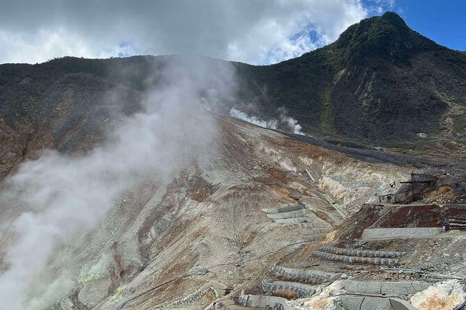 Tokyo Mount Fuji and Hakone Private Tour - Health and Accessibility