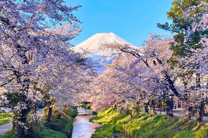 Tokyo: Mt.Fuji Area, Oshino Hakkai & Kawaguchi Lake Day Trip - Tips for a Great Experience