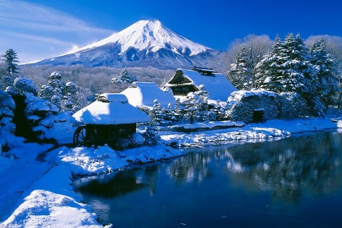 Tokyo Mt. Fuji Hakone Shrine, Owakudani, Lake Yamanakai Day Tour - Accessibility and Health Considerations