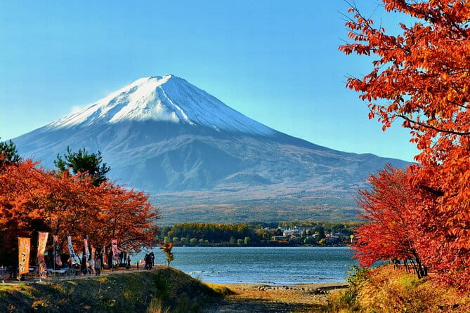 Tokyo: Mt. Fuji, Oshino Hakkai and Gotemba Outlets 1Day Bus Tour - Itinerary Highlights
