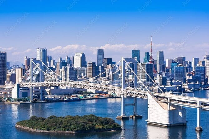 Tokyo Night Tour With English Speaking Driver - Accessibility