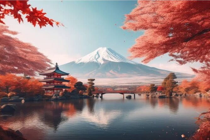 Tokyo Night Tour With English Speaking Driver - Exploring the Vibrant Nightlife of Tokyo