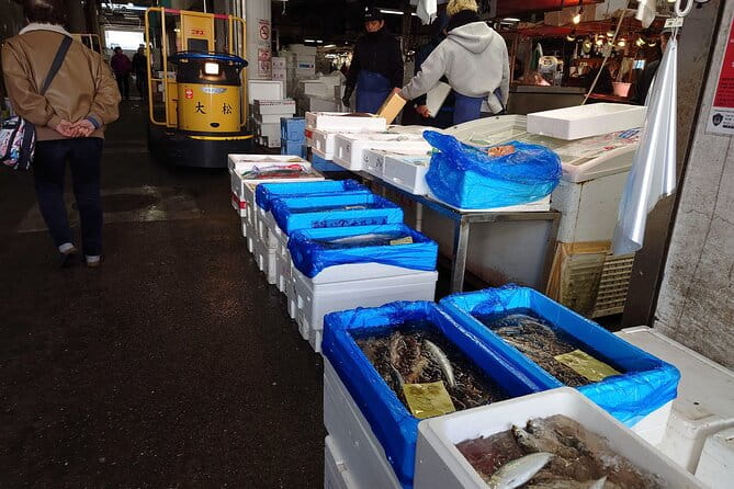 Tokyo Non-Touristy Local Private E-Bike Cycling Tour From Asakusa - Authentic Reviews From Previous Participants