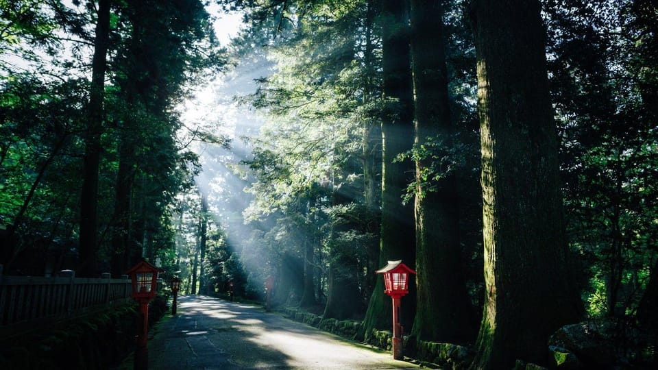 Tokyo: Onsen, Arts, and Nature Day Trip to Fuji and Hakone - Culinary Delights