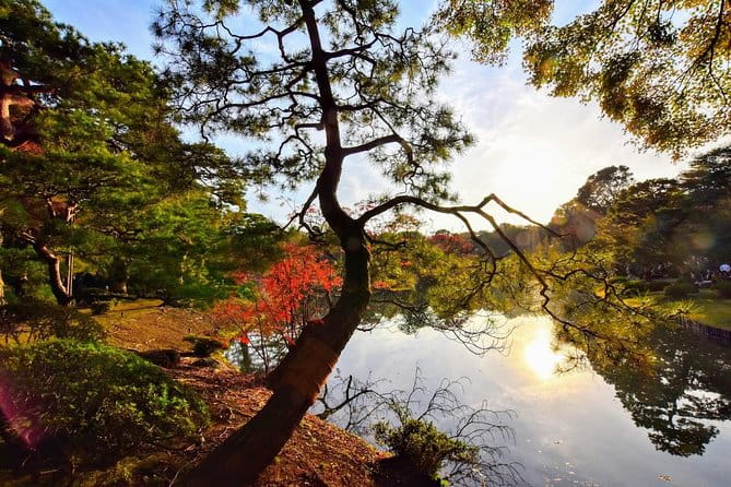 Tokyo Photogenic Spots Visiting Tour - Transportation Details