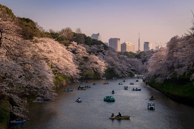 Tokyo Photography Masterclass - Private Photography Lesson - Private Tour Experience