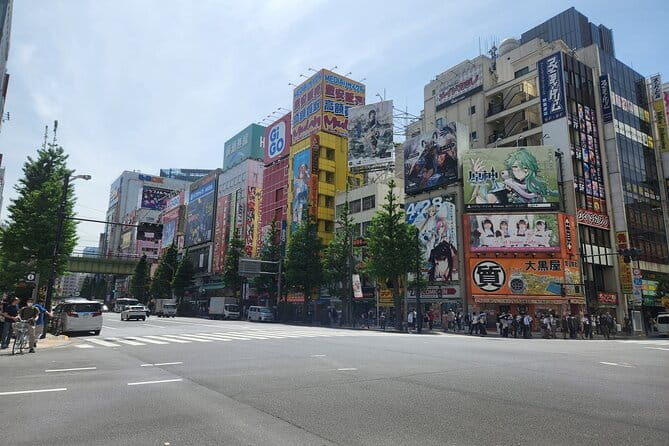 Tokyo Private City Tour - Key Points