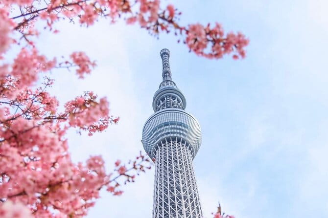 Tokyo Private Custom Day Tour With English Speaking Chauffeur - Pickup and Transportation Details