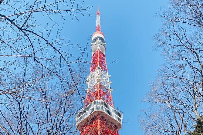 Tokyo Private Custom Day Tour With English Speaking Chauffeur - Accessibility Features