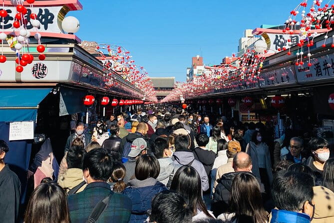 Tokyo Private Custom Day Tour With English Speaking Chauffeur - Booking Process