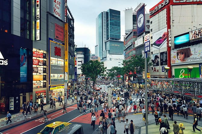 Tokyo Private Customizable Half Day Tour - Transportation Options
