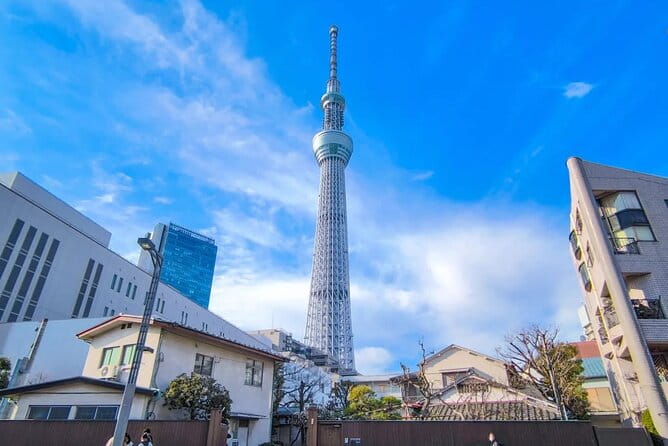 Tokyo Private Customizable One Day Private Trip With Guide - Pricing and Booking Information