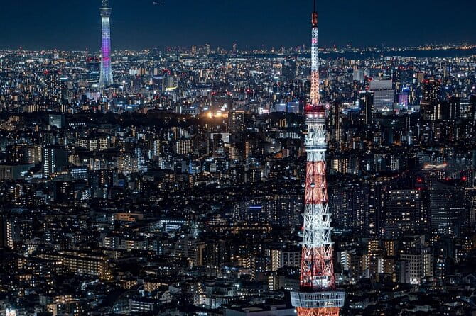 Tokyo Private Customizable One Day Private Trip With Guide - Meeting and Pickup Details