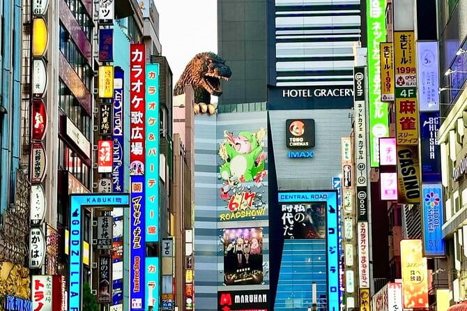 Tokyo Private Customizable One Day Private Trip With Guide - Customization Options