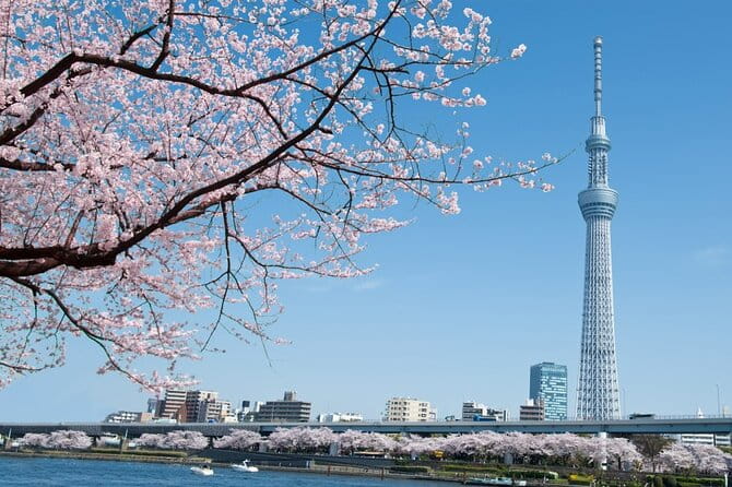 Tokyo Private Customize Tour - Customize Your Experience