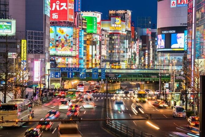 Tokyo Private Customize Tour - Exploring Tokyos Highlights