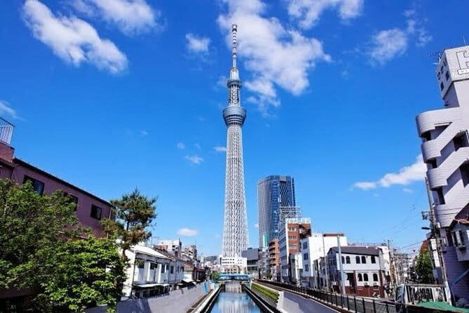 Tokyo Private Day Tour by Car With English Speaking Driver Guide - Key Points