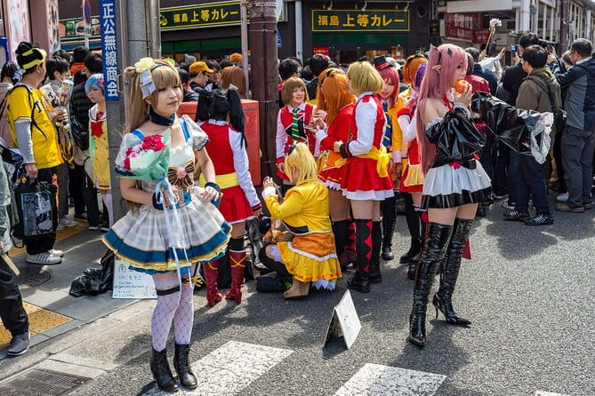 Tokyo Private Driving Tour by Car/Van- English Speaking Chauffeur - Itinerary Customization and Flexibility