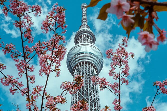 Tokyo Private Driving Tour by Car/Van- English Speaking Chauffeur - Booking Policies and Additional Information