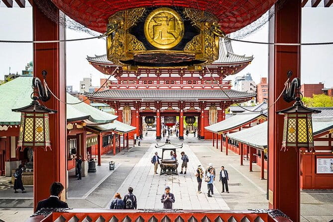 Tokyo Private SightSeeing Day Tour - Discovering the Meiji Jingu Shrine