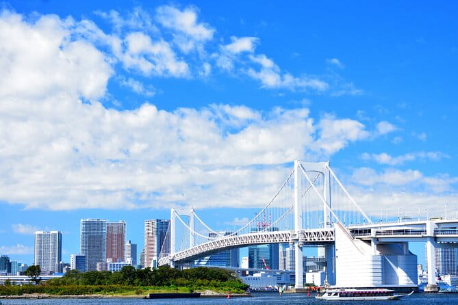 Tokyo Private Tour - Accessibility and Additional Information