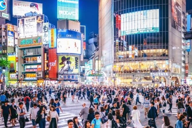 Tokyo Private Tour by Car With English Speaking Driver - Tour Experience and Expectations