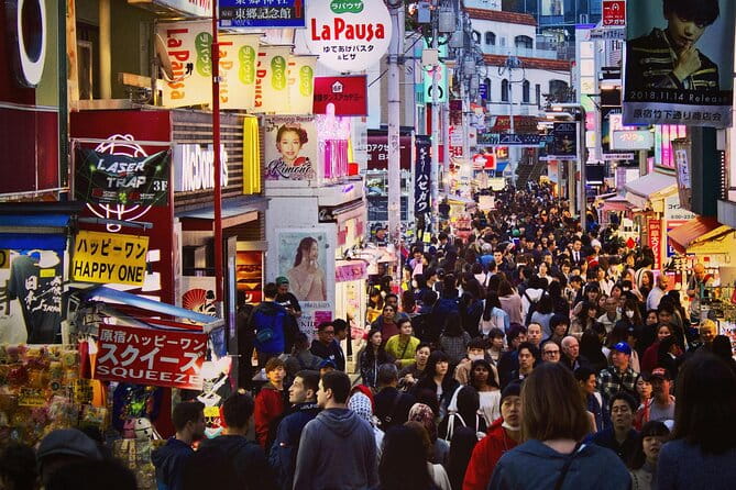 Tokyo Private Tour by Van With English Guide and Photography - Tips for an Enjoyable Experience