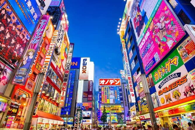Tokyo Private Tour With English Speaking Driver - What to Expect From Your English Speaking Driver