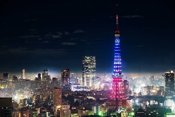 Tokyo Private Tour With Luxury Van - Tour Conditions and Policies