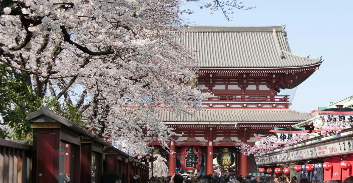 Tokyo Revealed: Premier Private Car Tour - Key Points