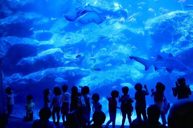 Tokyo Sumida Aquarium E-Ticket With Optional Tokyo Metro Pass - Pricing and Refund Policy
