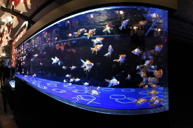 Tokyo Sumida Aquarium E-Ticket With Optional Tokyo Metro Pass - Visitor Reviews