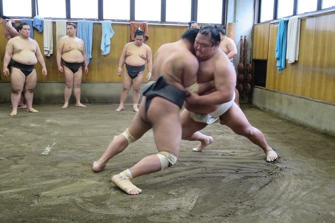 Tokyo Sumo Morning Practice in Ryogoku + Photo Shoot W/ Wrestlers - Key Points