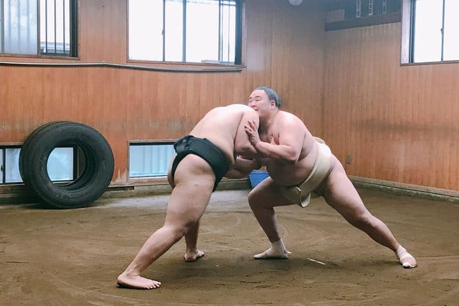 Tokyo Sumo Morning Practice in Ryogoku + Photo Shoot W/ Wrestlers - Feedback and Recommendations