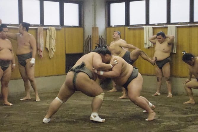 Tokyo Sumo Morning Practice Tour at Stable - Grand Tournaments in Japan