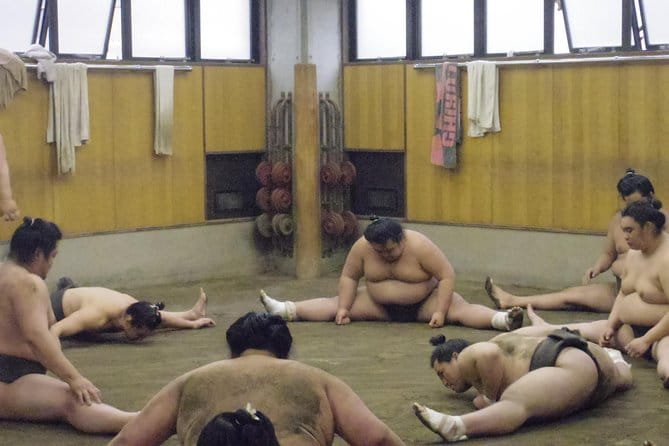 Tokyo Sumo Morning Practice Tour at Stable - Observation of Daily Training and Competitions