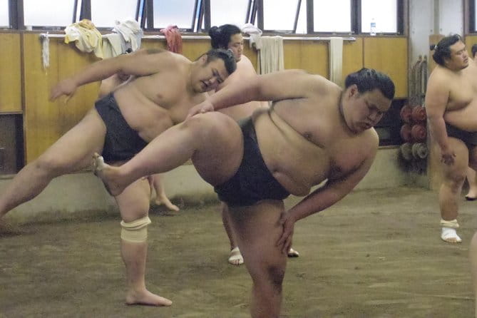Tokyo Sumo Morning Practice Tour at Stable - Positive Guest Experiences and Feedback