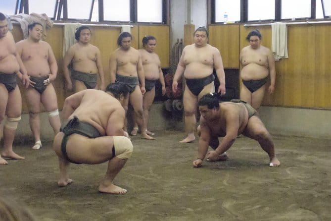Tokyo Sumo Morning Practice Tour at Stable - Unique Insights Into Japanese Sports and Culture