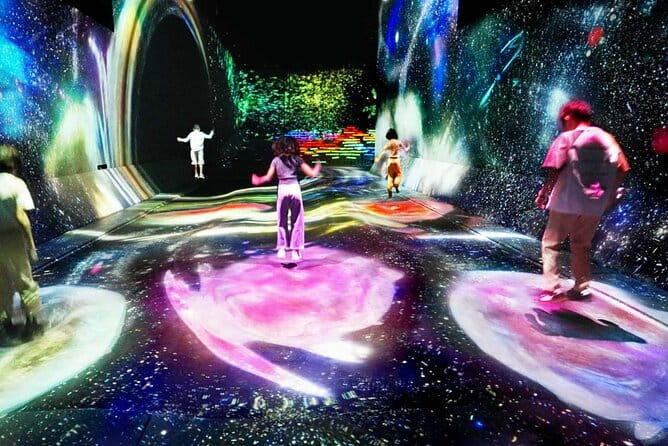 Tokyo: Teamlab Borderless Museum Admission Ticket - Key Points