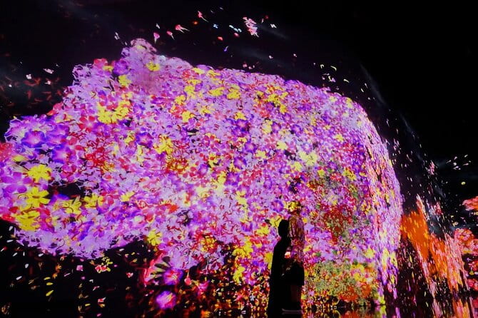 Tokyo: Teamlab Borderless Museum Admission Ticket - Inclusions and Amenities