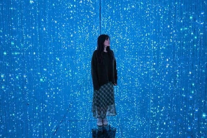 Tokyo: Teamlab Borderless Museum Admission Ticket - Accessibility and Participation