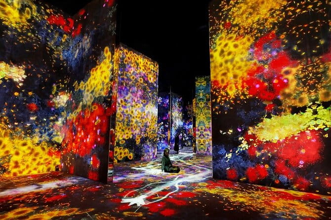Tokyo: Teamlab Borderless Museum Admission Ticket - Visitor Tips and Recommendations