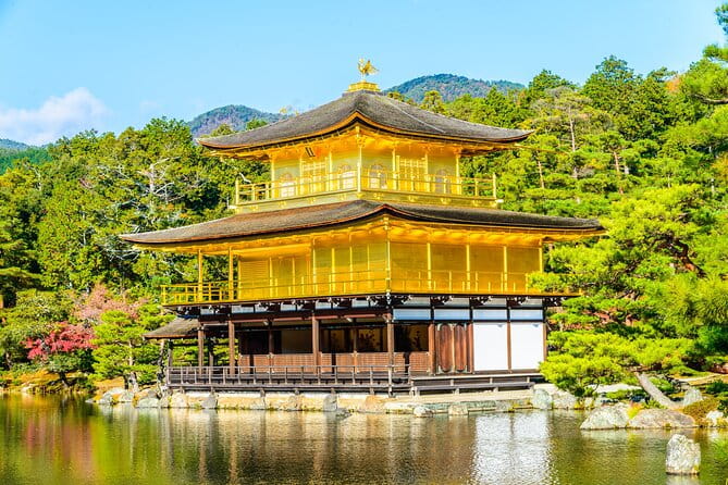 Tokyo to Kyoto 1-Full Day Private Guided Tour - Guide Information