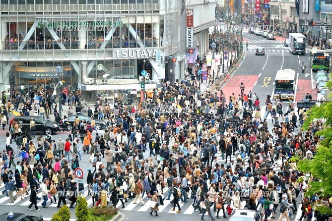 Tokyo Tour, From/To Tokyo,Yokohama, TDR, Narita, 2- 12 Guests - Accessibility and Special Requirements