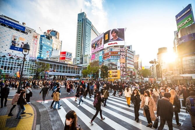 Tokyo Tour With English Pro Guide & Driver - Flexible Pickup and Drop-off Options