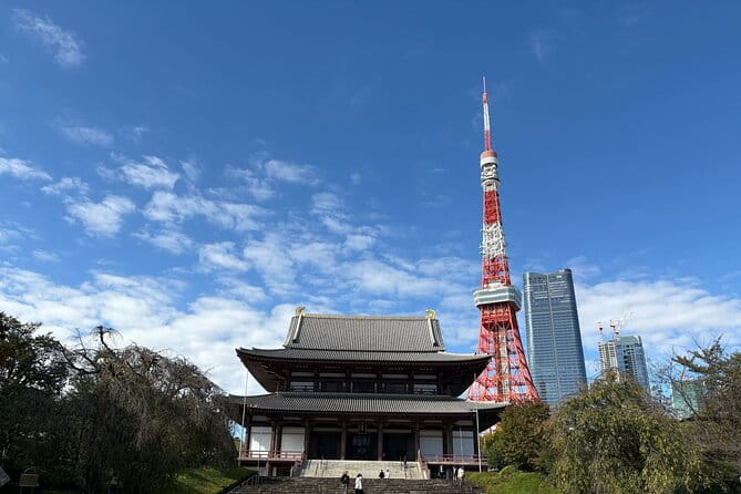 Tokyo Tower Area E-Bike Tour: Highlights and Hidden Gems - Tips for a Memorable Tour Experience