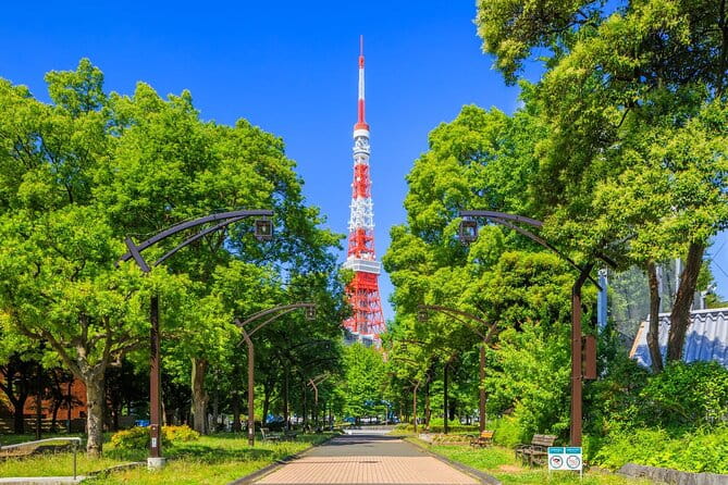 Tokyo Tower Observation Deck Experience With Ticket - Accessibility and Participation